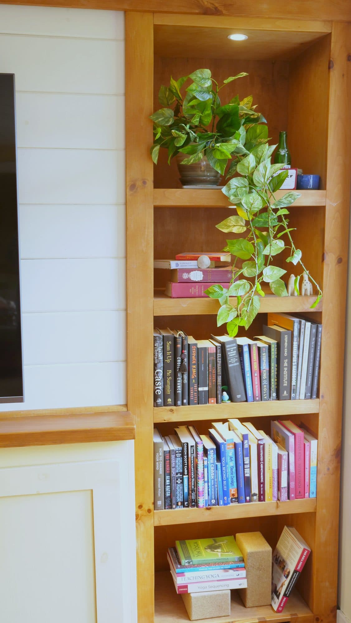 Upper open bookcase shelves