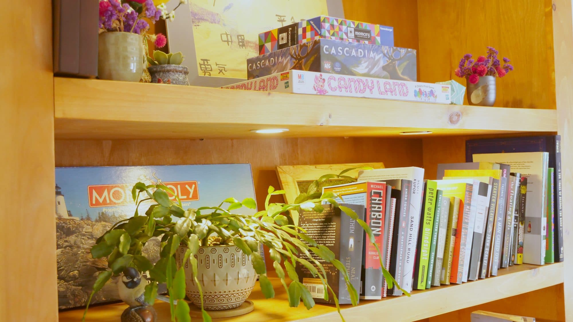 Shelves styled w/ games + plants