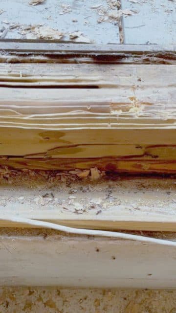 Rotted sill/framing inspection (pre-rebuild)